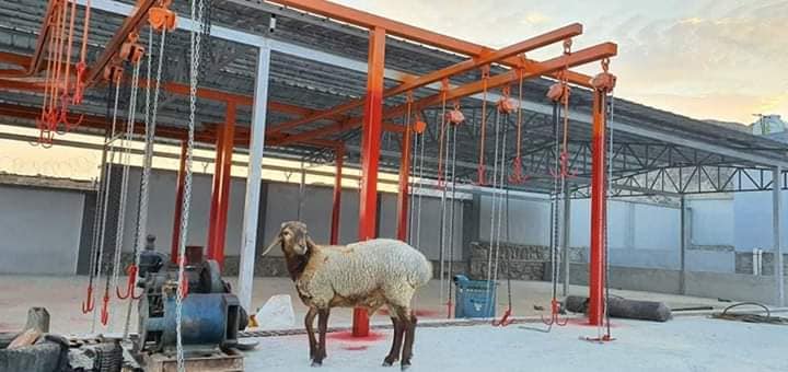 داوطلبی