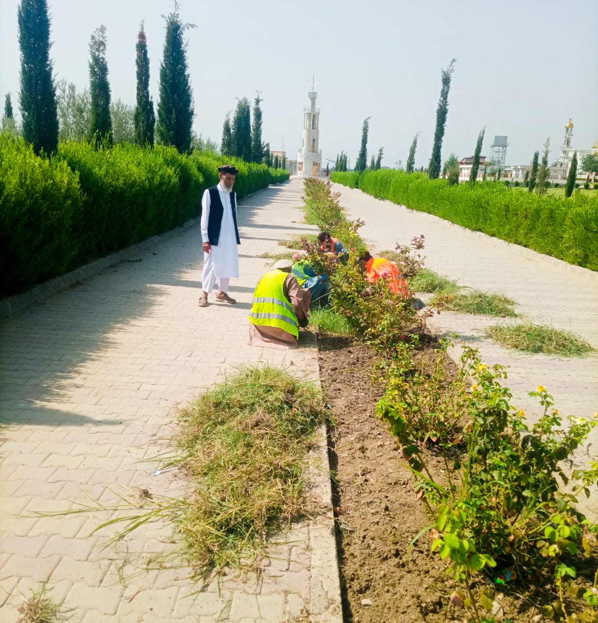 پارکونه