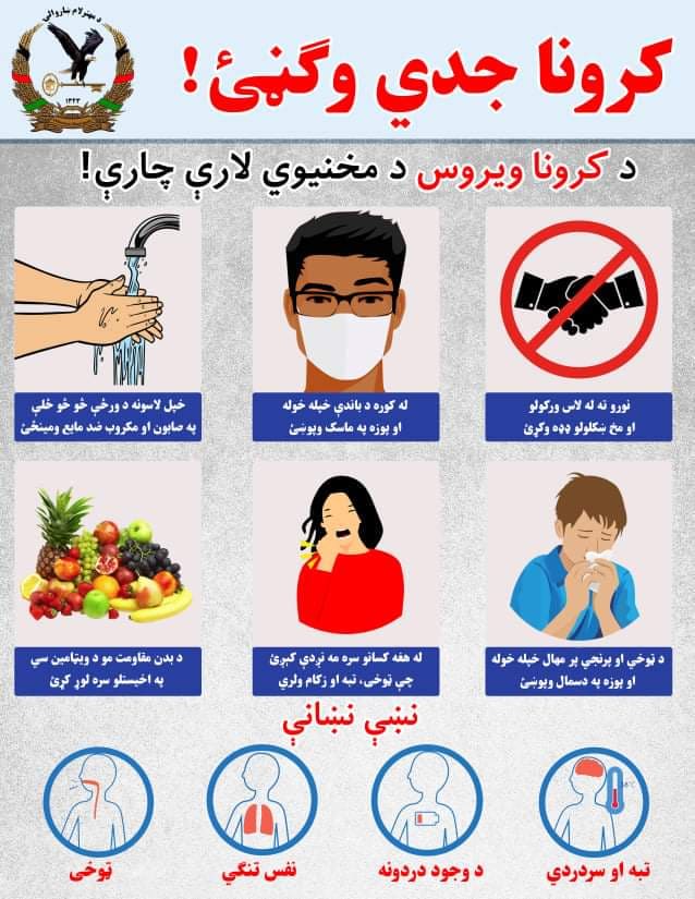 اخبار
