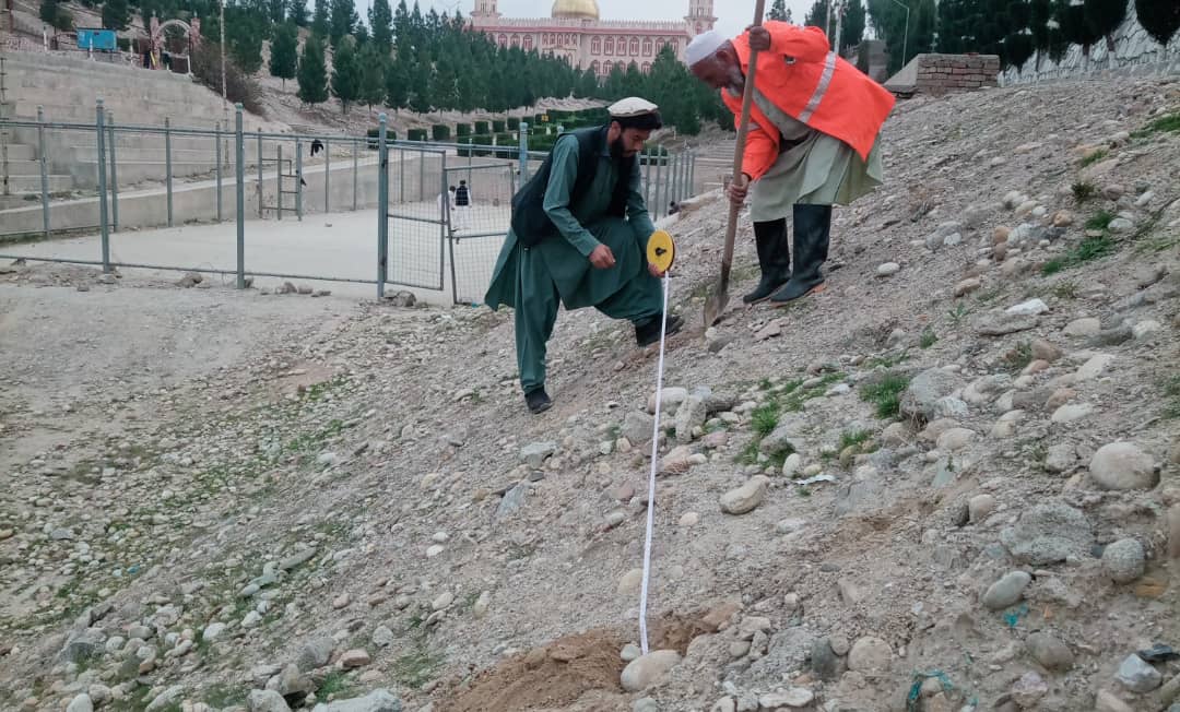 د نيالګيو کينولو