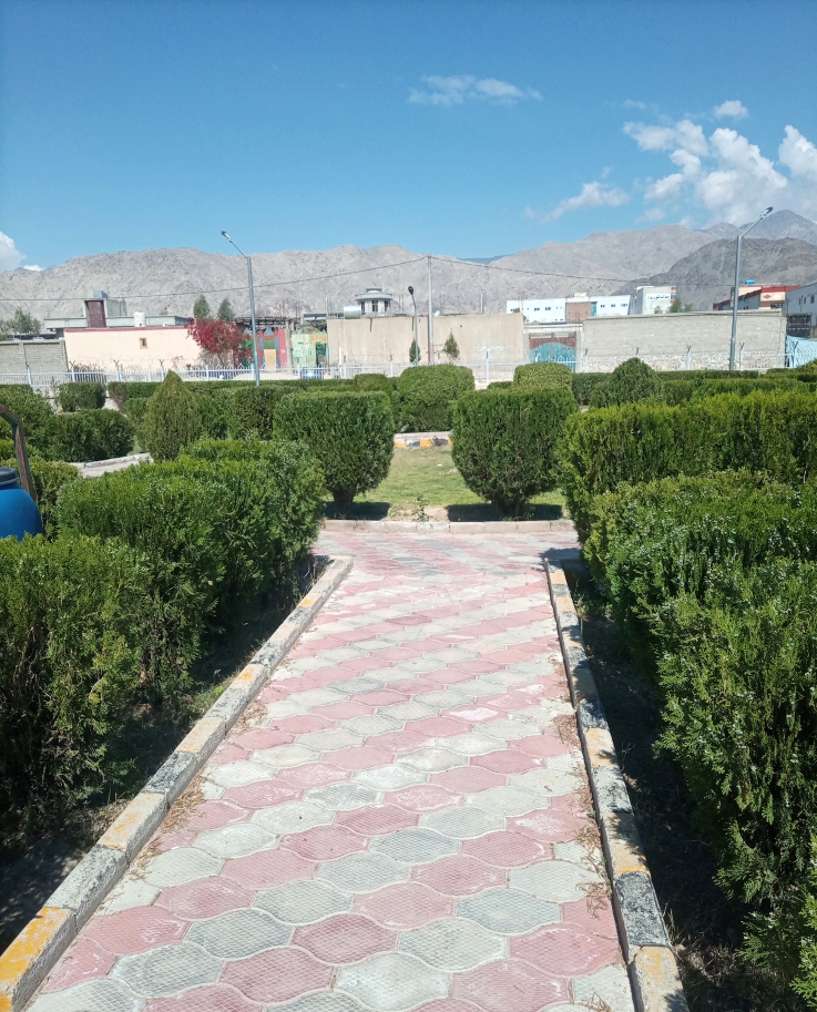 ډيزينونه