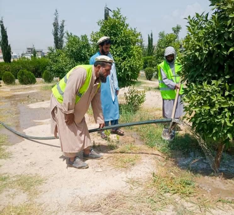 د پارکونو اوبه کول