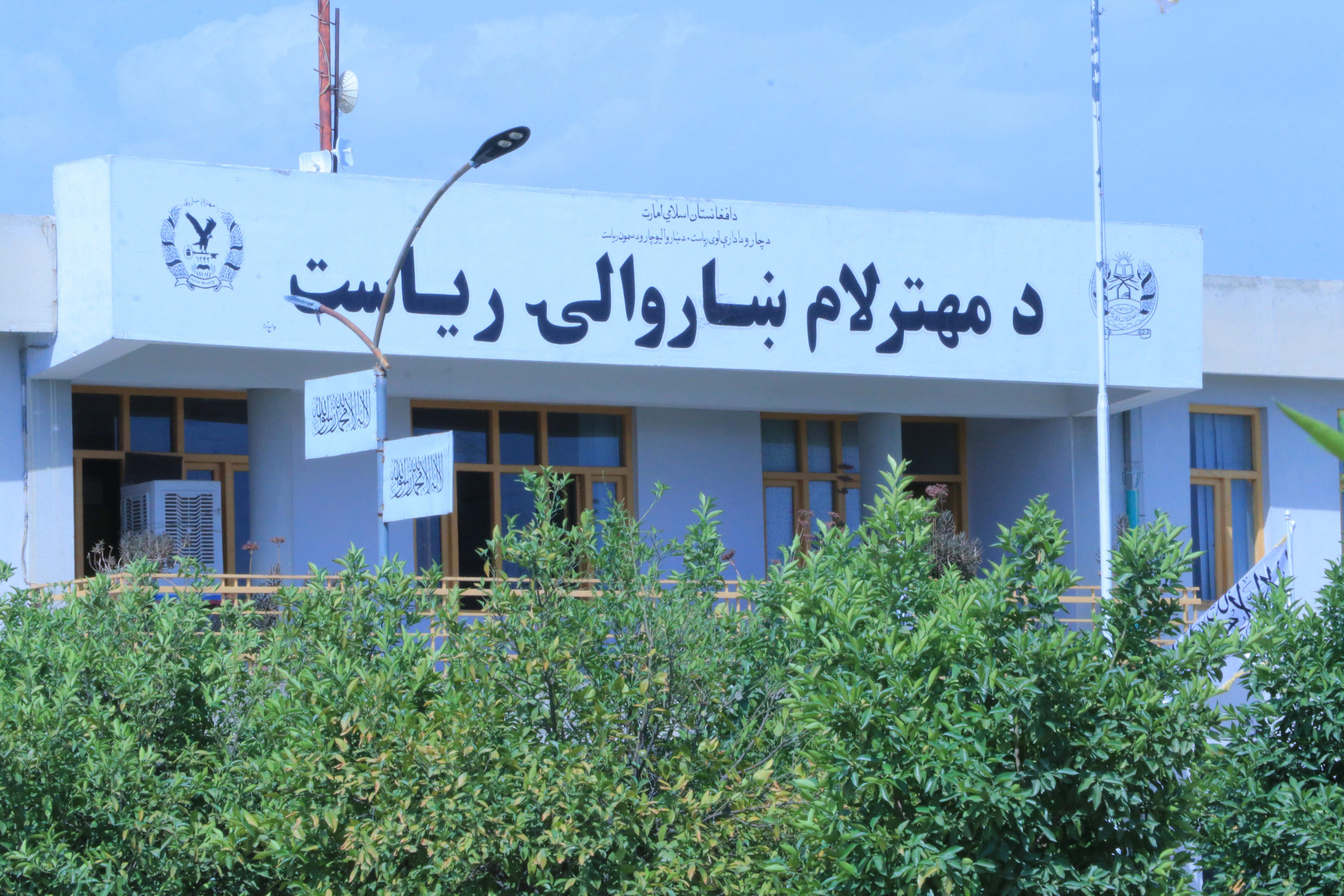 اداري ناسته