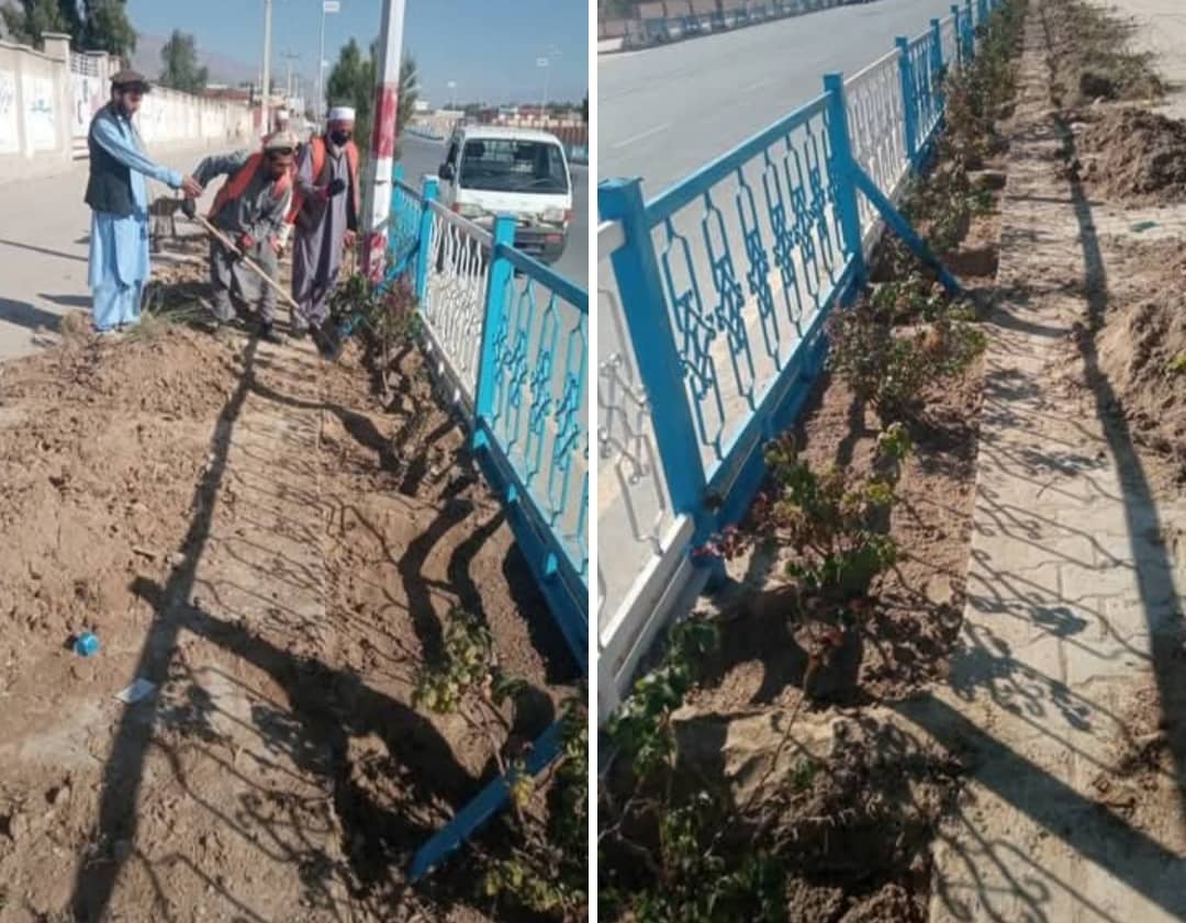 د تنظيف چارې