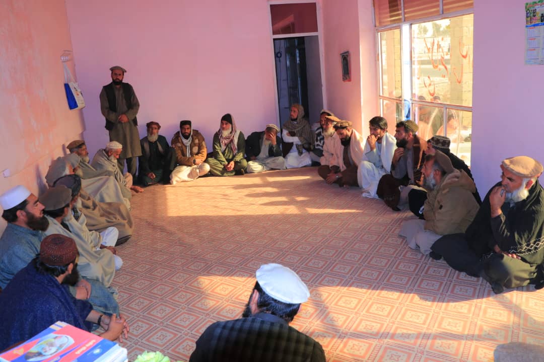 عامه پوهاوی