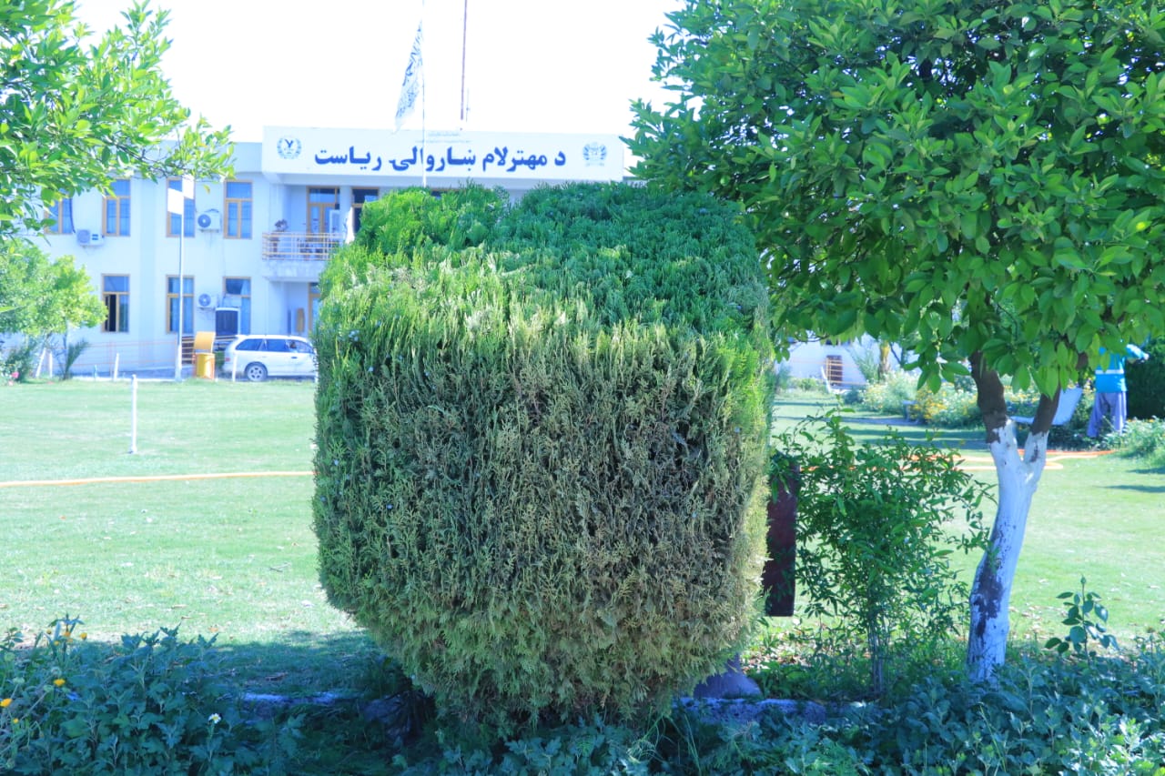 ناسته
